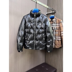 Louis Vuitton Down Jackets